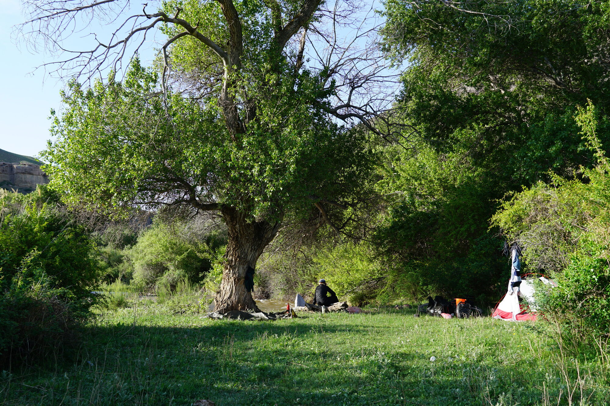 Our tent in a Kazakh oasis