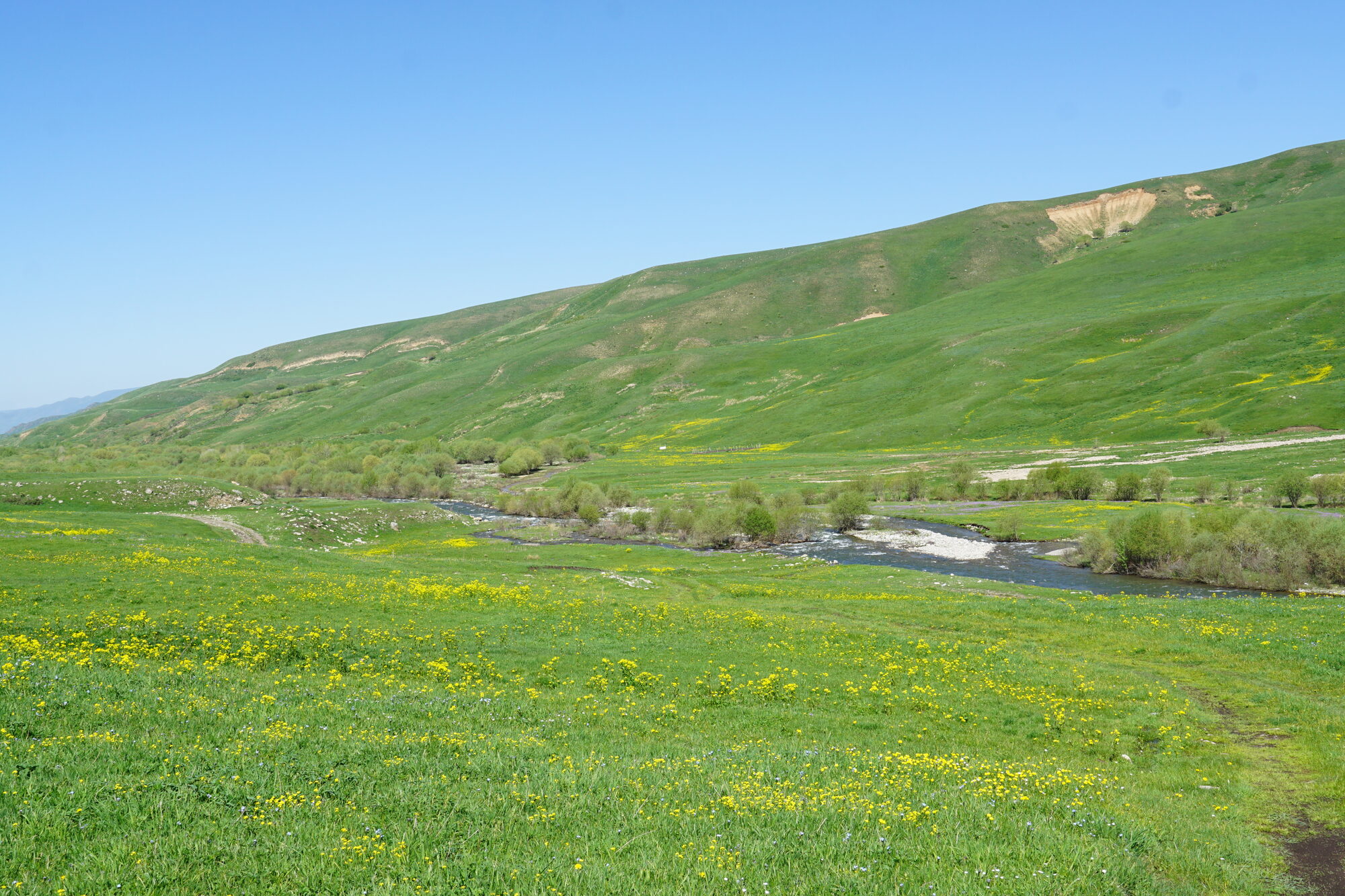 Kazakh landscape with a river
