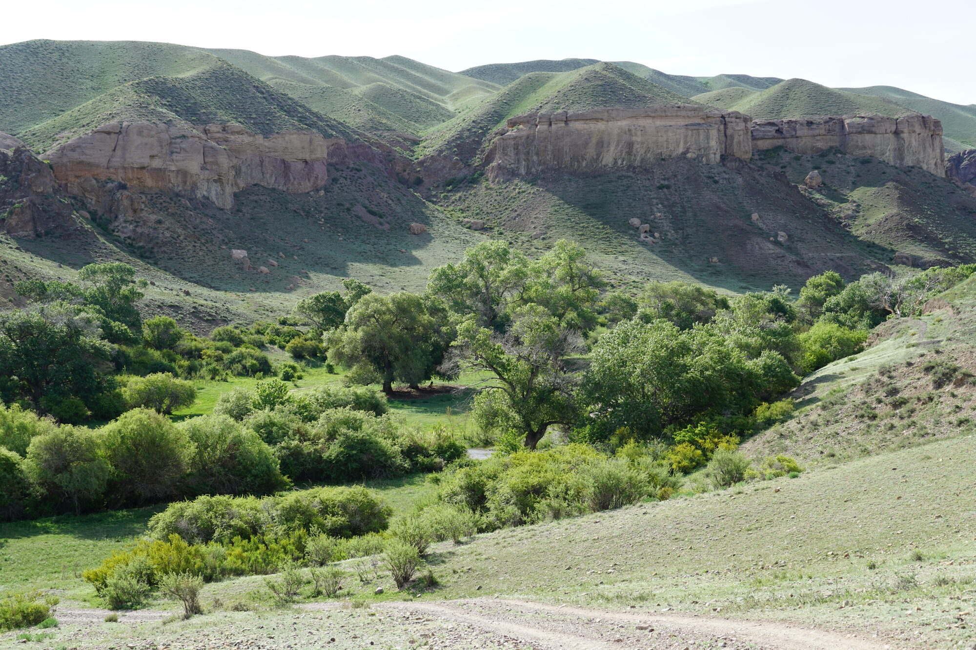 View into a Kazakh oasis