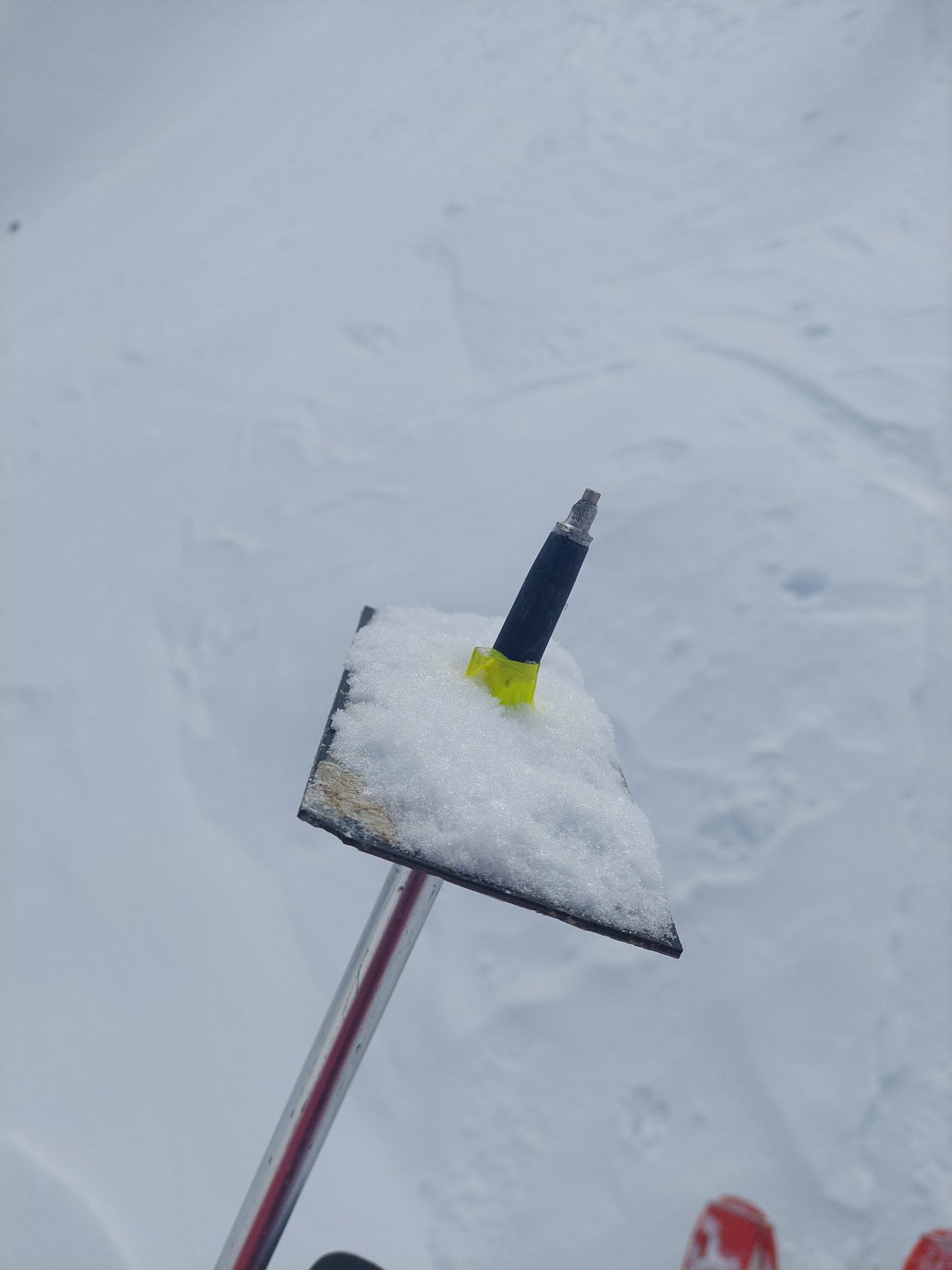 Skistock mit provisorischem Teller